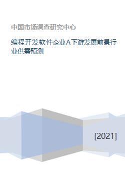 編程開發(fā)軟件企業(yè)A下游發(fā)展前景 行業(yè)供需預(yù)測與企業(yè)SD軟件開發(fā)領(lǐng)先之道